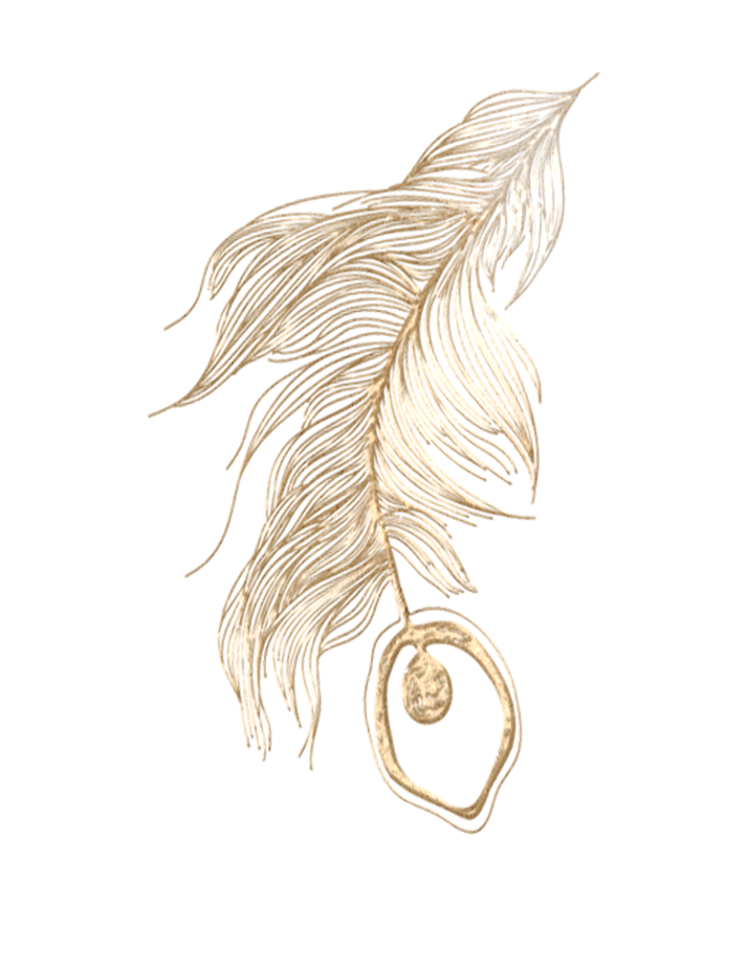 feather